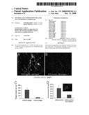 Methods and Compositions Related to Clot Binding Compounds diagram and image