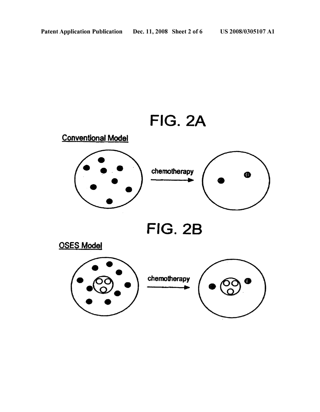 NOVEL METHODS OF CANCER DIAGNOSIS AND THERAPY TARGETED AGAINST A CANCER STEM LINE - diagram, schematic, and image 03