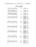 AMPLIFICATION OF HUMAN MDM2 GENE IN HUMAN TUMORS diagram and image