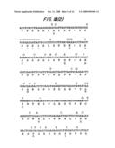 AMPLIFICATION OF HUMAN MDM2 GENE IN HUMAN TUMORS diagram and image