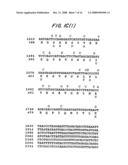 AMPLIFICATION OF HUMAN MDM2 GENE IN HUMAN TUMORS diagram and image