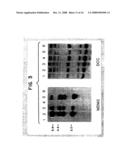 AMPLIFICATION OF HUMAN MDM2 GENE IN HUMAN TUMORS diagram and image