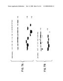 AMPLIFICATION OF HUMAN MDM2 GENE IN HUMAN TUMORS diagram and image