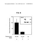 AMPLIFICATION OF HUMAN MDM2 GENE IN HUMAN TUMORS diagram and image