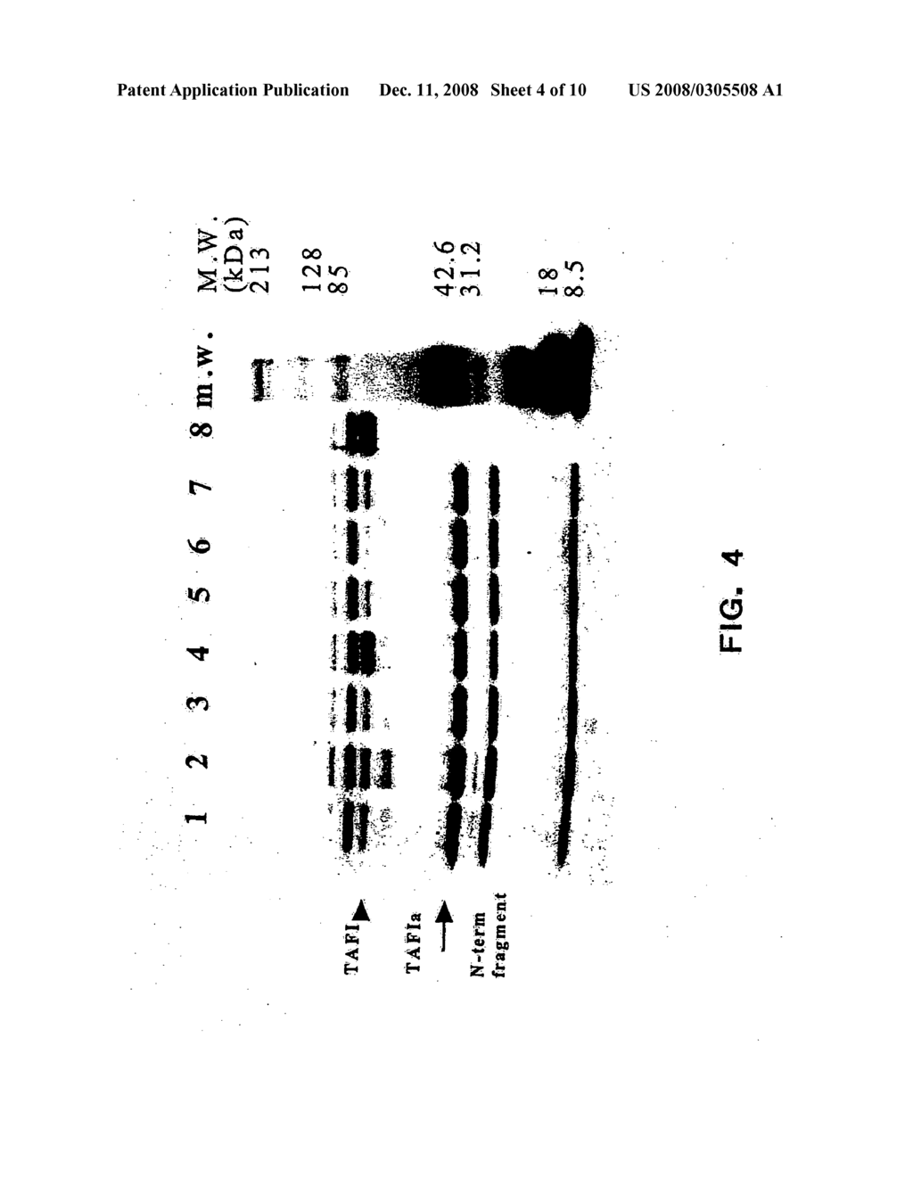 Methods of screening for compounds that modulate TAFIa activity, compounds, and methods of using the compounds - diagram, schematic, and image 05