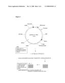 Method of Generating Translationally Active Linear Dna Molecules and Use Thereof in Array Formats diagram and image