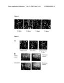 Method of Generating Translationally Active Linear Dna Molecules and Use Thereof in Array Formats diagram and image