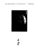 Single-Step Platform for On-Chip Integration of Bio-Molecules diagram and image