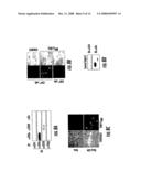 Modulation Of Cd4+ T Cell Responses By A Tick Saliva Protein, Salp15 And Polypeptides Derived Therefrom diagram and image