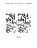 Three-Dimensional Structures of TALL-1 and its Cognate Receptors and Modified Proteins and Methods Related Thereto diagram and image