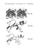 Three-Dimensional Structures of TALL-1 and its Cognate Receptors and Modified Proteins and Methods Related Thereto diagram and image