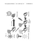 VACCINE COMPOSITION CONTAINING IRRADIATED OVALBUMIN FOR THE PREVENTION AND TREATMENT OF ALLERGIC DISEASE diagram and image