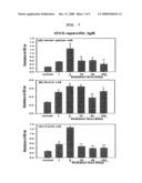 VACCINE COMPOSITION CONTAINING IRRADIATED OVALBUMIN FOR THE PREVENTION AND TREATMENT OF ALLERGIC DISEASE diagram and image