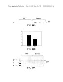 Dopamine Receptor Agonists in the Treatment and Prevention of Hiv-Induced Dementia diagram and image