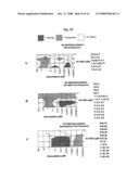 Isoflavonoid Dimers diagram and image