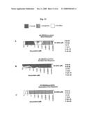 Isoflavonoid Dimers diagram and image