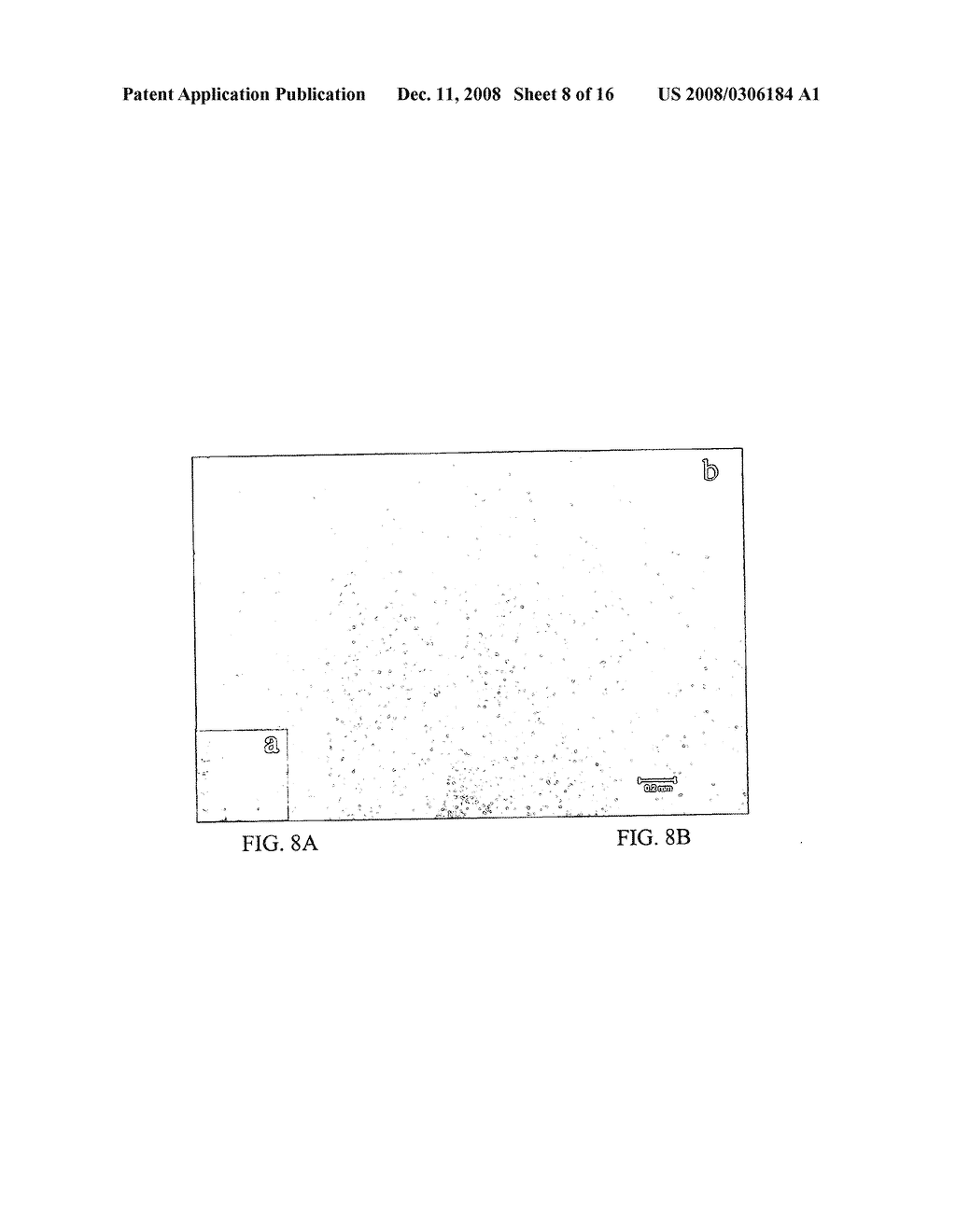 Polymer/carbon nanotube composites, methods of use and methods of synthesis thereof - diagram, schematic, and image 09