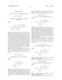 NOVEL HETEROARYL DERIVATIVE diagram and image