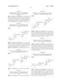 NOVEL HETEROARYL DERIVATIVE diagram and image