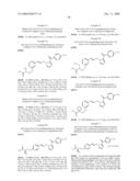 NOVEL HETEROARYL DERIVATIVE diagram and image