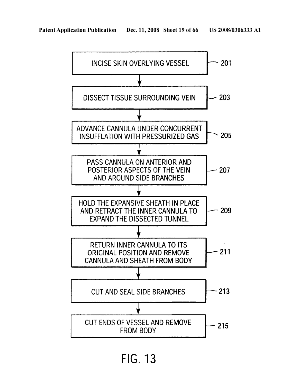 Apparatus and Method for Endoscopic Surgical Procedures - diagram, schematic, and image 20