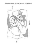 Apparatuses and Methods For Electrophysiological Signal Delivery and Recording During Mri diagram and image