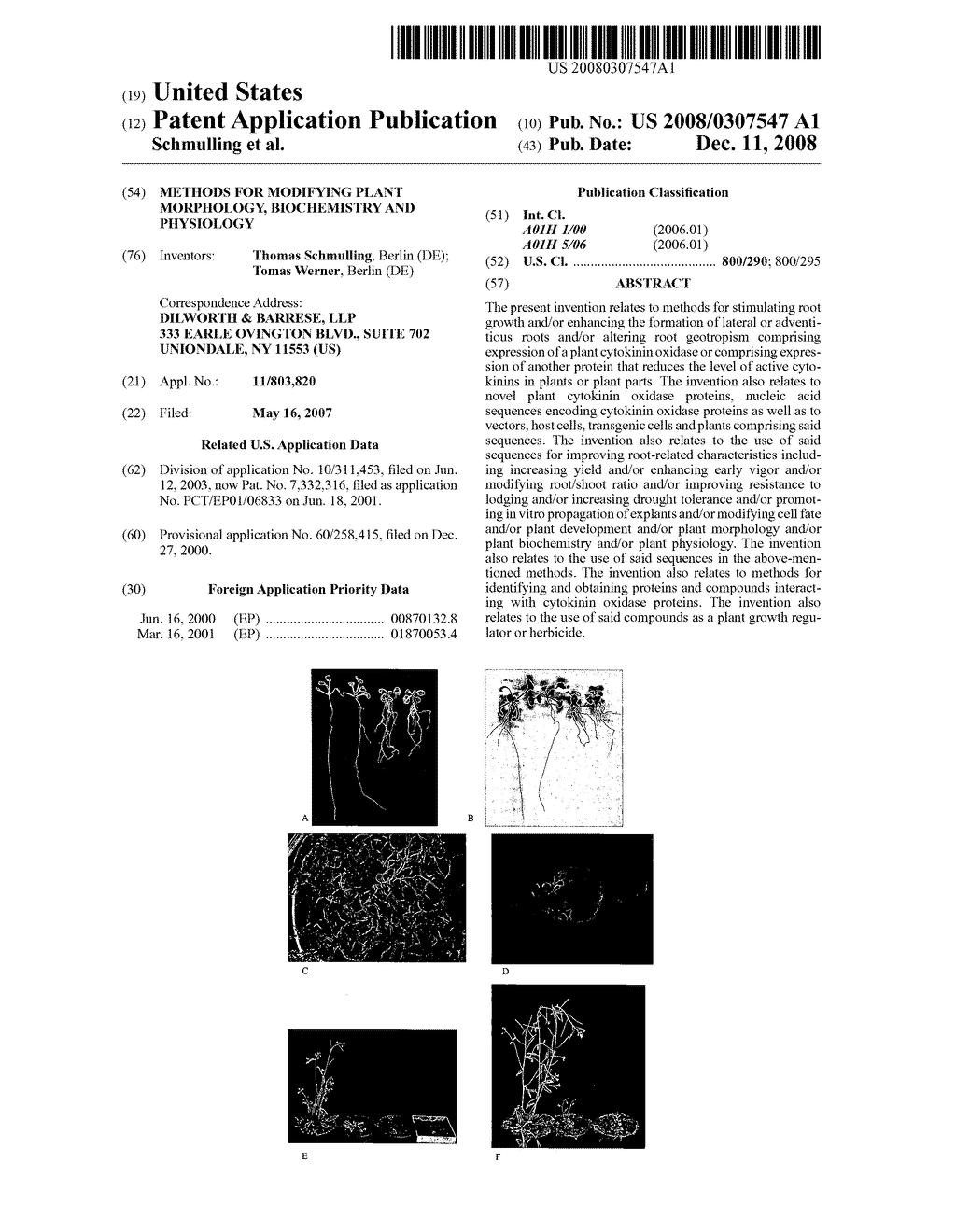 Methods for modifying plant morphology, biochemistry and physiology - diagram, schematic, and image 01