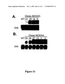 Methods for modifying plant morphology, biochemistry and physiology diagram and image