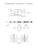 Methodology, Module, Terminal, and System Enabling Scheduled Operation of a Radio Frequency Identification (Rfid) Subsystem and a Wireless Communication Subsystem diagram and image