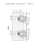 Function Element, Method For Manufacturing The Function Element, Electronic Device Equipped With The Function Element, And Method For Manufacturing The Electronic Device diagram and image