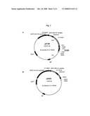 Anti-Tissue Factor Antibodies and Compositions with Enhanced Effector Function diagram and image