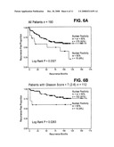 Therapeutic and Prognostic Factor Yy1 in Human Cancer diagram and image