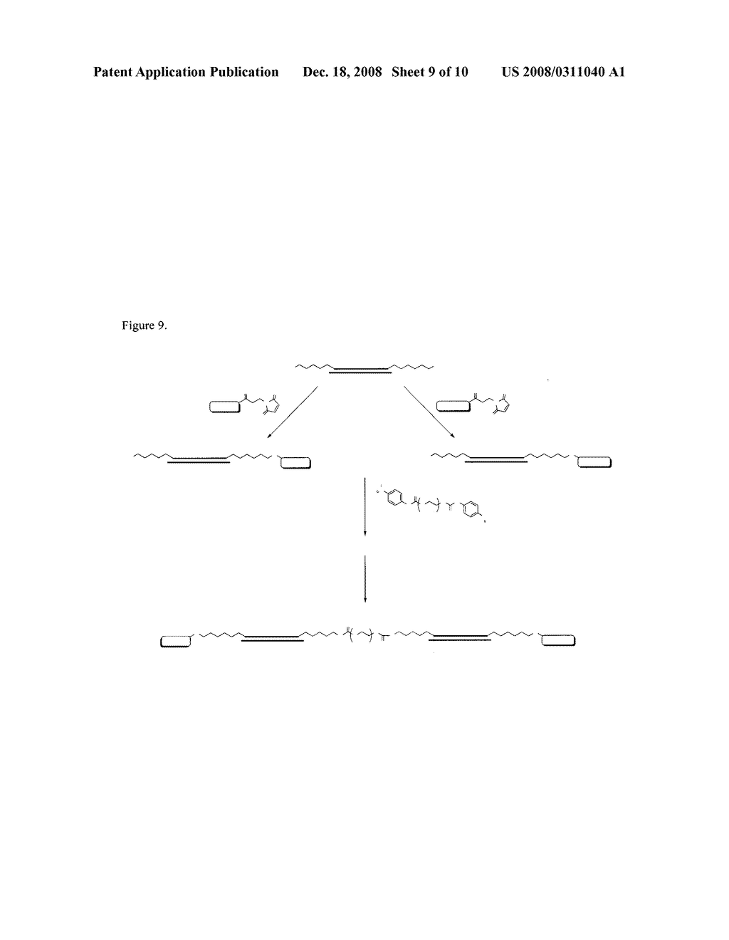 METHODS AND COMPOSITIONS FOR IMPROVED THERAPEUTIC EFFECTS WITH siRNA - diagram, schematic, and image 10