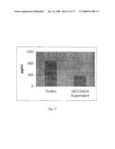 BIFIDOBACTERIUM IN THE TREATMENT OF INFLAMMATORY DISEASE diagram and image