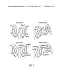 ANTIBODY ANTAGONISTS OF VE-CADHERIN WITHOUT ADVERSE EFFECTS ON VASCULAR PERMEABILITY diagram and image