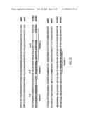 ANTIBODY ANTAGONISTS OF VE-CADHERIN WITHOUT ADVERSE EFFECTS ON VASCULAR PERMEABILITY diagram and image