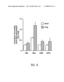 ANTIBODY ANTAGONISTS OF VE-CADHERIN WITHOUT ADVERSE EFFECTS ON VASCULAR PERMEABILITY diagram and image