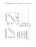 ANTIBODY ANTAGONISTS OF VE-CADHERIN WITHOUT ADVERSE EFFECTS ON VASCULAR PERMEABILITY diagram and image