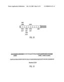 ANTIBODY ANTAGONISTS OF VE-CADHERIN WITHOUT ADVERSE EFFECTS ON VASCULAR PERMEABILITY diagram and image