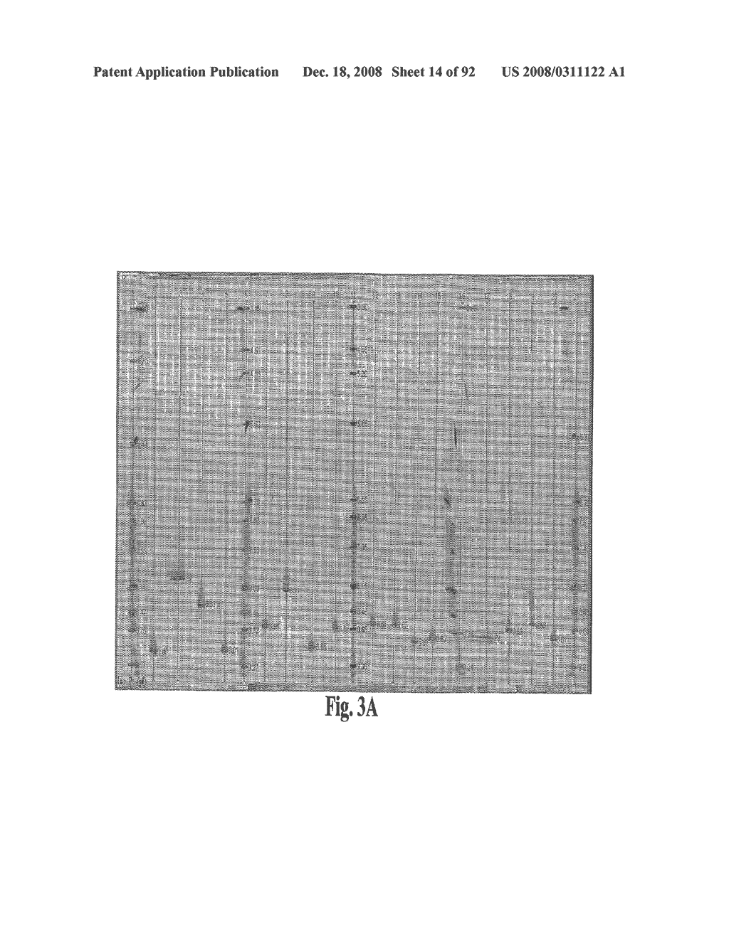 Antagonists of Hmgb1 and/or Rage and Methods of Use Thereof - diagram, schematic, and image 15