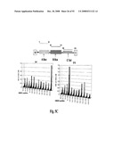 Antagonists of Hmgb1 and/or Rage and Methods of Use Thereof diagram and image