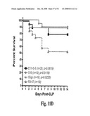 Antagonists of Hmgb1 and/or Rage and Methods of Use Thereof diagram and image