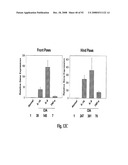 Antagonists of Hmgb1 and/or Rage and Methods of Use Thereof diagram and image