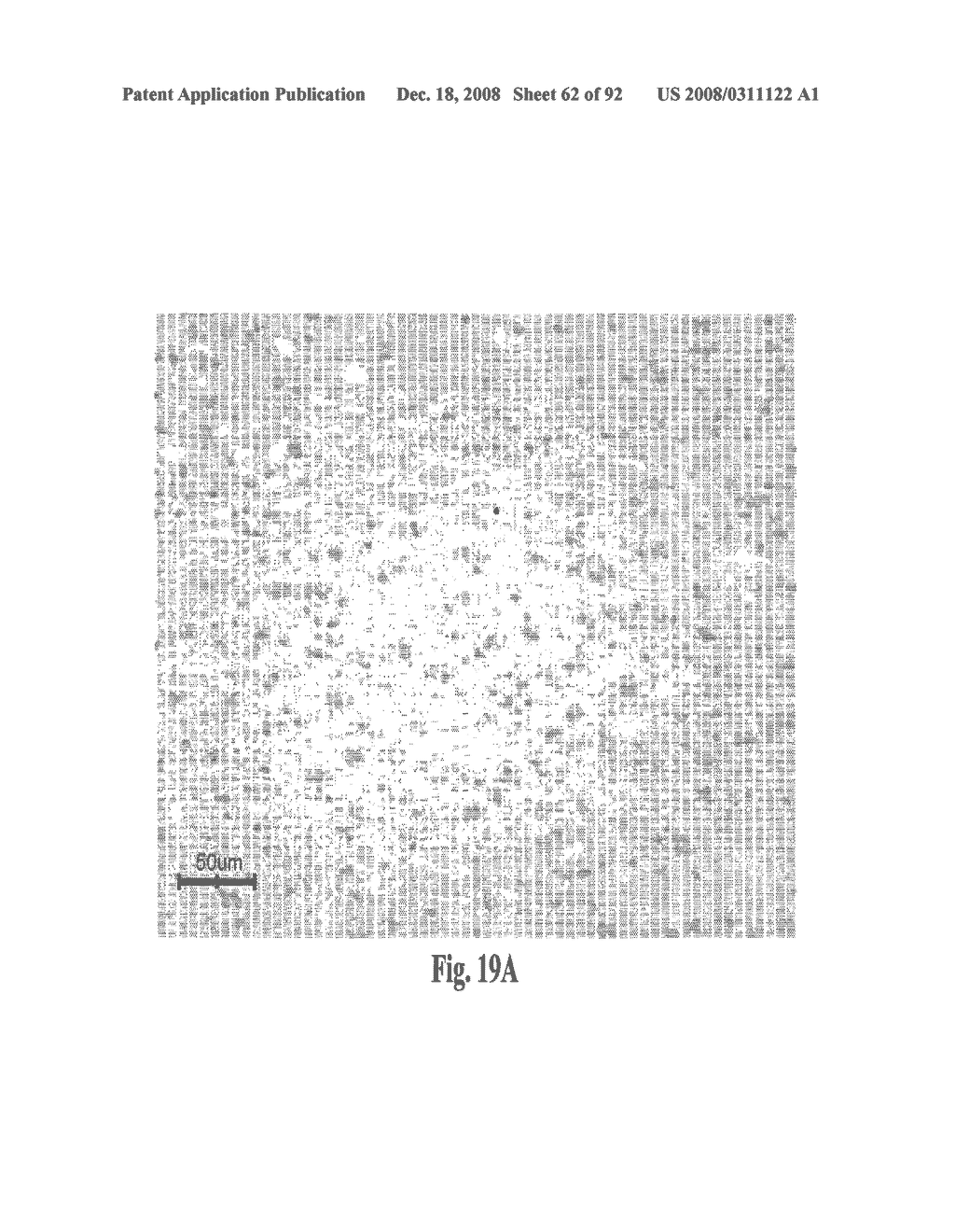 Antagonists of Hmgb1 and/or Rage and Methods of Use Thereof - diagram, schematic, and image 63