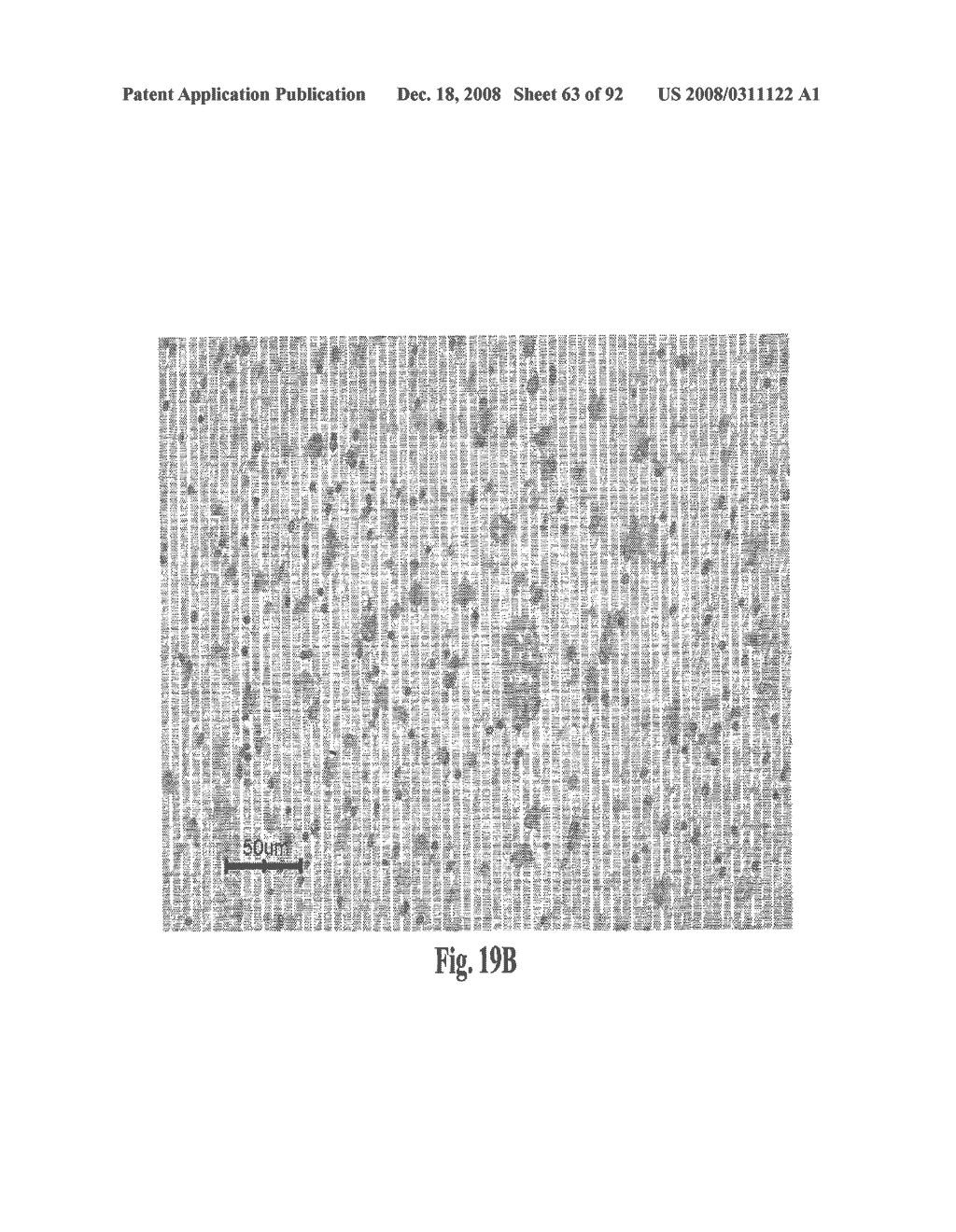 Antagonists of Hmgb1 and/or Rage and Methods of Use Thereof - diagram, schematic, and image 64