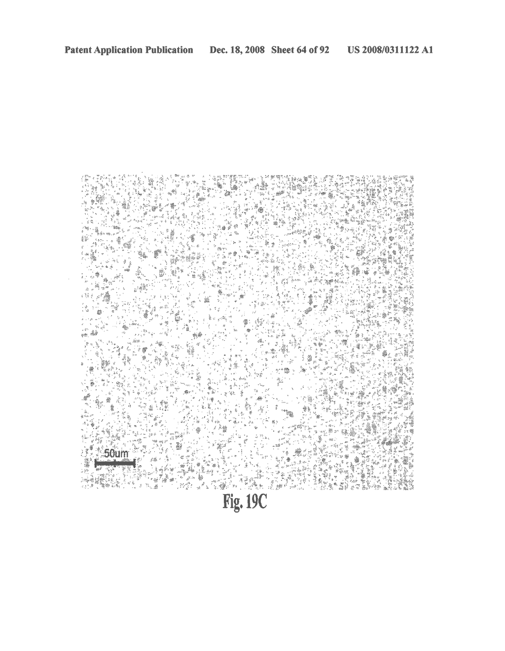 Antagonists of Hmgb1 and/or Rage and Methods of Use Thereof - diagram, schematic, and image 65