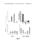 Antagonists of Hmgb1 and/or Rage and Methods of Use Thereof diagram and image