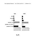 Antagonists of Hmgb1 and/or Rage and Methods of Use Thereof diagram and image