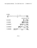 Rhabdoviral N-Fusion Proteins as Carrier for Foreign Antigens diagram and image