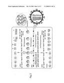 DNA-transfection system for the generation of infectious influenza virus diagram and image